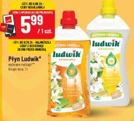 Універсальна рідина Ludwik