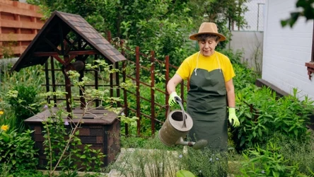 Tani, ekologiczny nawóz do warzyw możemy przygotować sami. Wystarczy kefir i woda. 