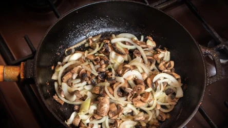 Gąśnica wiosenna, inaczej majówka, jest jednym z pierwszych grzybów, który pojawia się w polskich lasach.