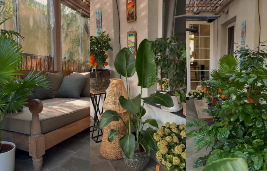 przytulny kącik wypoczynkowy z dużą ilością zielonych roślin doniczkowych, wygodną drewnianą sofą z poduszkami oraz naturalnymi dodatkami w stylu boho, które tworzą harmonijną i relaksującą atmosferę