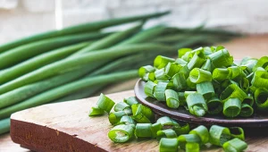 Ochota na szczypiorek? Organizm daje ważny znak. Posłuchaj go, a jelita Ci podziękują