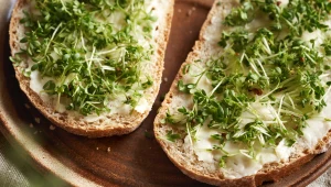 Rzeżucha choć mała, ma moc właściwości zdrowotnych. Sprawdź, dlaczego na przednówku warto jeść kiełki rzeżuchy?