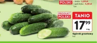 Ogórek Polski