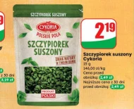 Цибуля Cykoria