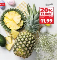 Ananas