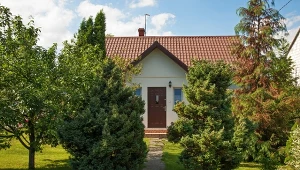 Drzewo niszczy fundamenty i kanalizację domu? Jest sposób, by to sprawdzić