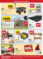 Kwitnący ogród w niskich cenach - Jula