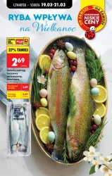 Codzienne okazje i więcej – Biedronka