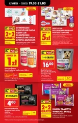 Codzienne okazje i więcej – Biedronka