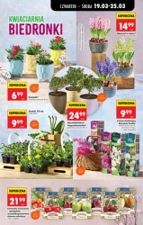Codzienne okazje i więcej – Biedronka