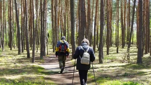 Idealna trasa na wiosenny wypad z Krakowa. Łatwy szlak i piękne panoramy 