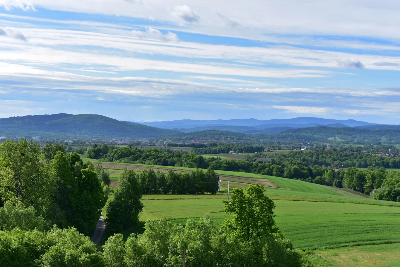 Rozległe zielone pola uprawne otoczone gęstymi drzewami, w tle widoczne pasmo górskie pod niebieskim niebem z delikatnymi chmurami.