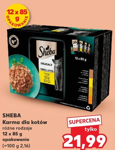 Корм для котів Sheba