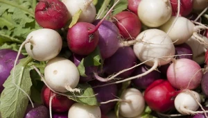 Włącz do diety, by zrzucić zimową oponkę. Pomoże też na łamliwe paznokcie