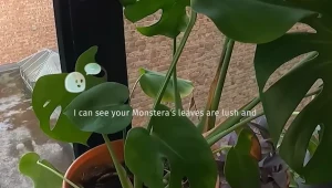 Okulary dla osób z demencją. CrossSense zwiększa samodzielność pacjentów