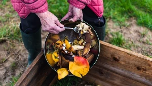 Dojrzewanie kompostu bez żadnej ingerencji trwa do 18 miesięcy.