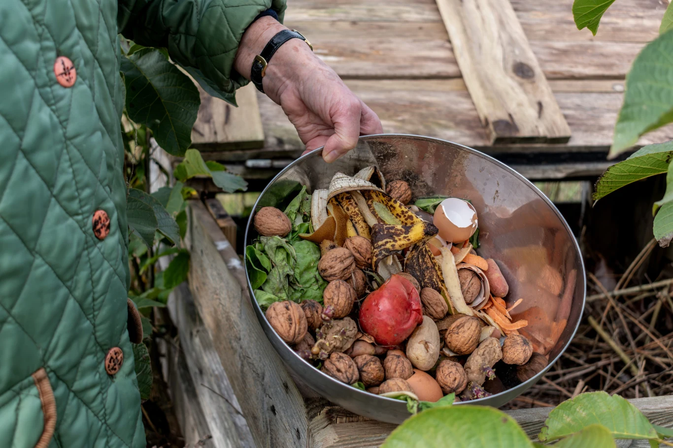 Co wrzucać do kompostu, by przyspieszyć jego pracę? metalowa miska pełna odpadków organicznych, takich jak orzechy, obierki warzyw i owoców, skorupka jajka oraz zwiędłe liście, trzymana przez osobę w zielonej, pikowanej kurtce nad kompostownikiem ogrodowym