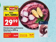 Ośmiornica Marinero