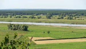 Rezerwat Bielinek to polska "śródziemnomorska wyspa".