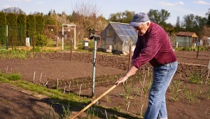 Najlepsze, co możesz zrobić dla gleby wiosną. Rozsyp i wymieszaj 