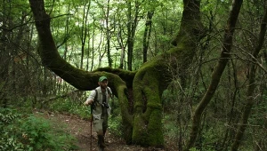 Dr Łukasz Piechnik od lat bada polskie lasy Fot./Łukasz Wilk 