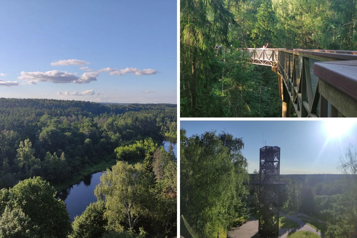 Panorama lasu z wijącą się rzeką, drewniana kładka w koronach drzew oraz drewniana wieża widokowa pośród gęstej zieleni.