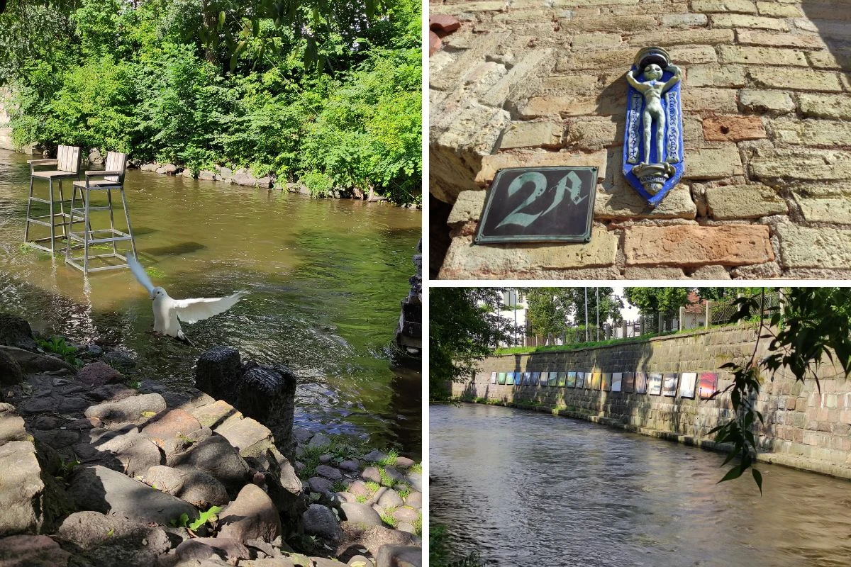 Biała mewa startująca z brzegu nad rzeką otoczoną zielenią, fragment starego muru z niebieską ceramiczną dekoracją i numerem 2a oraz widok na kamienny brzeg rzeki z zawieszonymi na murze kolorowymi tablicami.