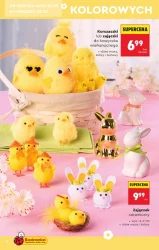 Wiosenne inspiracje - Biedronka