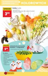 Wiosenne inspiracje - Biedronka