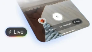 Google udostępnia w Polsce wyszukiwarkę Live