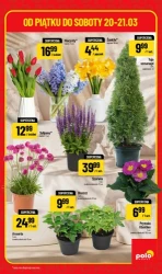 Superhity - Polomarket