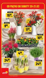 Superhity - Polomarket