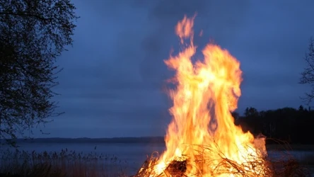 Gałęzie na cenzurowanym, ale…