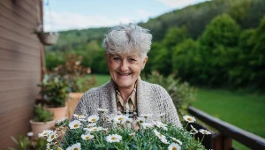 Stokrotki będą kwitły aż do lata. Zastosuj te triki po zakupie