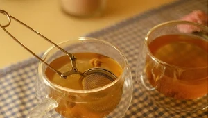 Z kwiatów forsycji można zrobić nie tylko lecznicy napar.