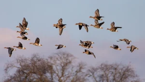 Zdrowa alternatywa dla "city break". Pomaga na nerwy i koncentrację