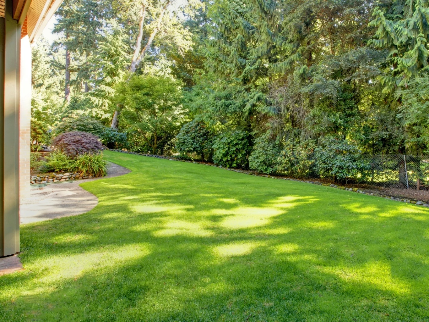 zielony, zadbany trawnik otoczony wysokimi drzewami i krzewami, po lewej betonowa ścieżka prowadząca do domu, w tle gęsty, leśny zagajnik