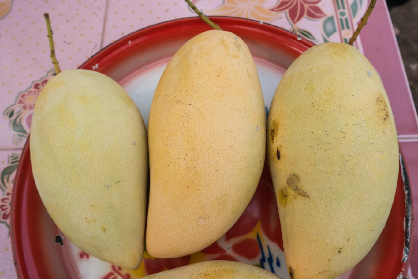 Trzy dojrzałe mango o żółtej skórce leżą na czerwono-białym talerzu, tle geometryczno-kwiatowy wzór stołu.