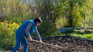 Jak nawozić ogród w marcu? Zapewnisz warzywom dobry start