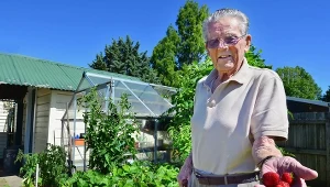 Jak poprawić smak truskawki