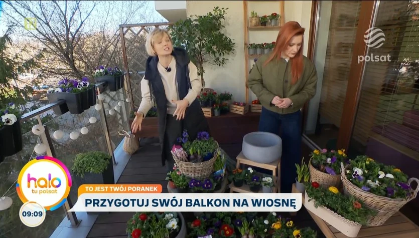 Wiosenny balkon krok po kroku. Kasia Joda o tym, jak sadzić i chronić kwiaty