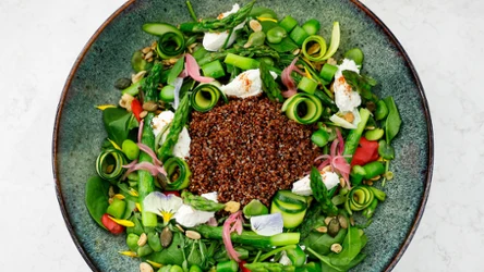 Sałatka z quinoą, bobem, szparagami i ricottą