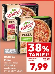Pizza Hortex