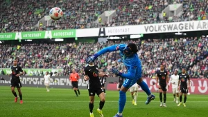 To on stanie między słupkami na Albanię? Istna klęska, to już 66 dni