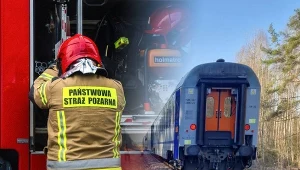 Pociąg zderzył się z żubrami. Na miejscu pracują służby, są utrudnienia