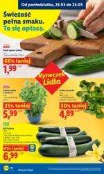 Wielkanoc pełna radości!- Lidl