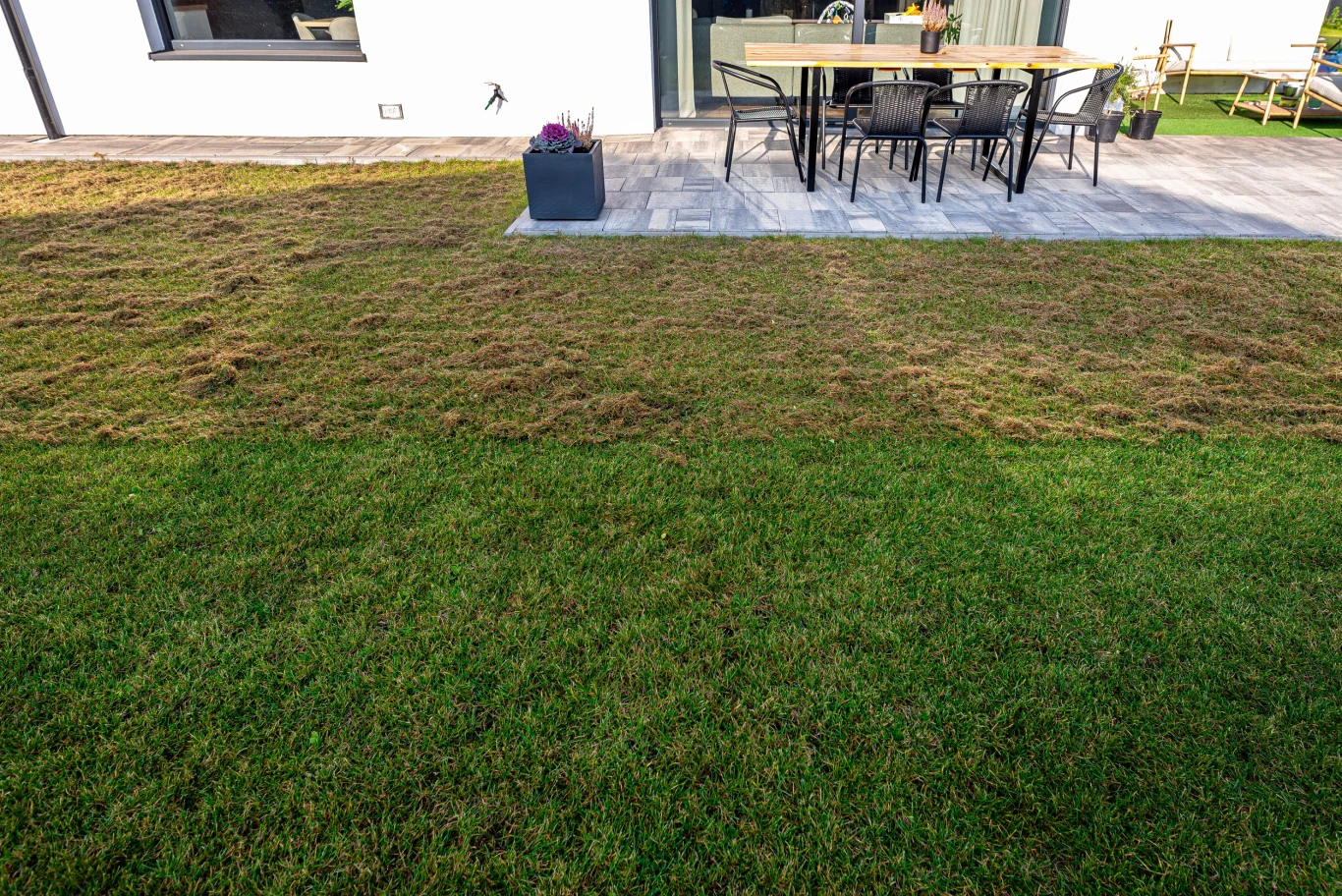 Wertykulacja nie jest zwykłym porządkowaniem powierzchni, lecz precyzyjną ingerencją w darń. taras z jasnych płyt z zestawem czarnych krzeseł i stołem, przed którym rozciąga się trawnik z wyraźnie widocznymi suchymi, żółtymi fragmentami trawy