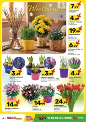 Bonusy w niedzielę - Brico Marché