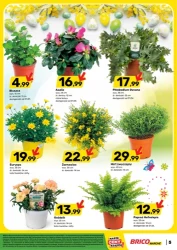 Bonusy w niedzielę - Brico Marché