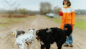 To moment, w którym dochodzi do tragedii. Specjalistka apeluje do rodziców 
